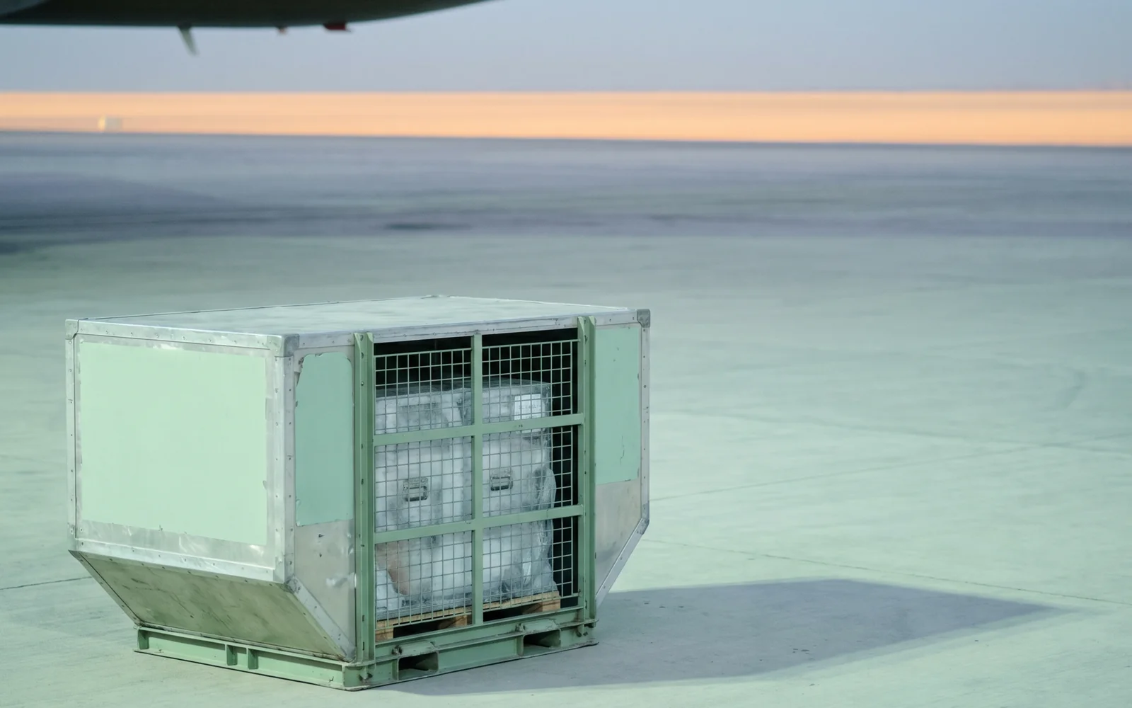 Air · Cairo → Tashkent — Air freight freight from Egypt to Uzbekistan, transit 2–4 days