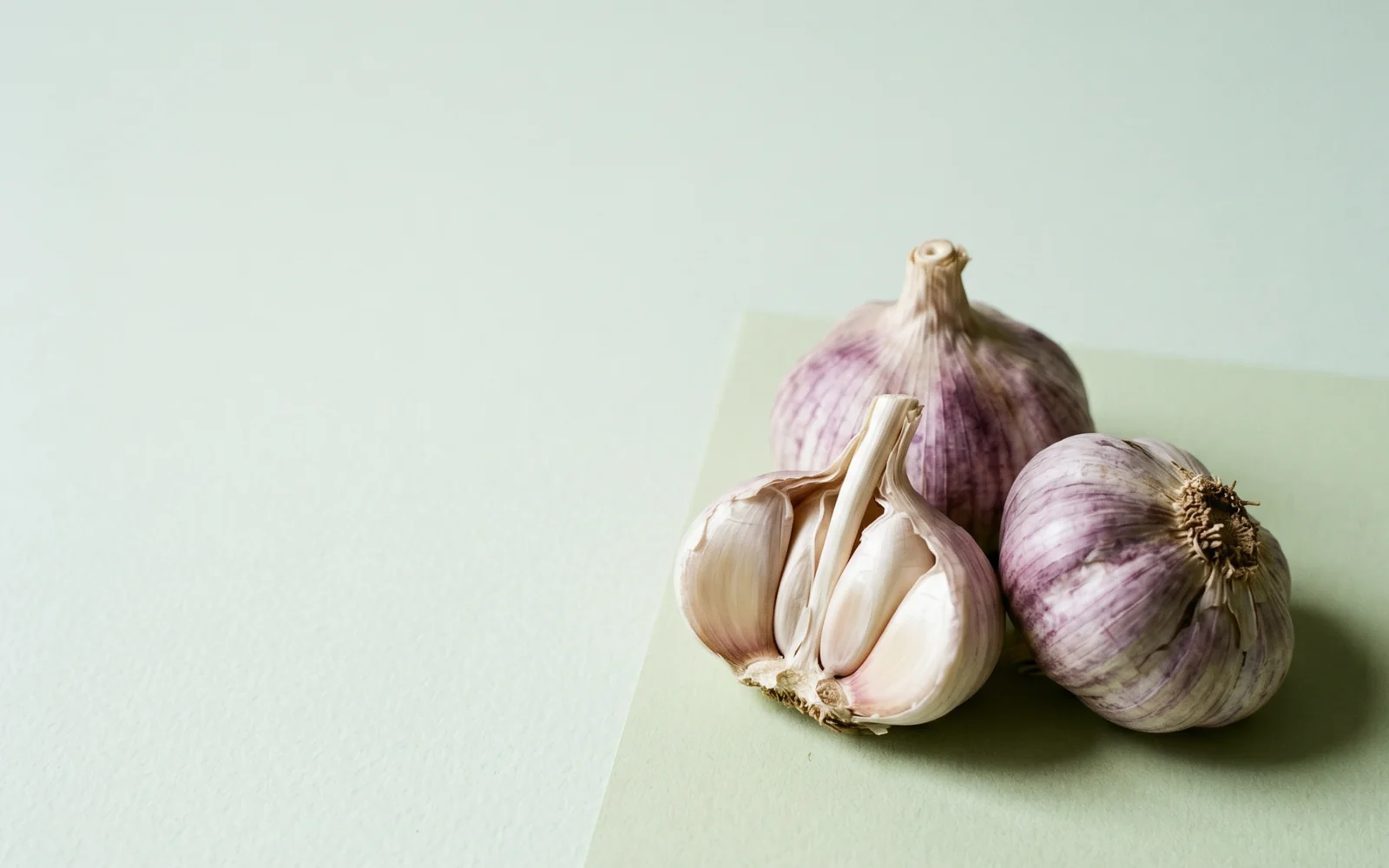 Egyptian Balady garlic for Uzbekistan — HS 070320, season Круглый год