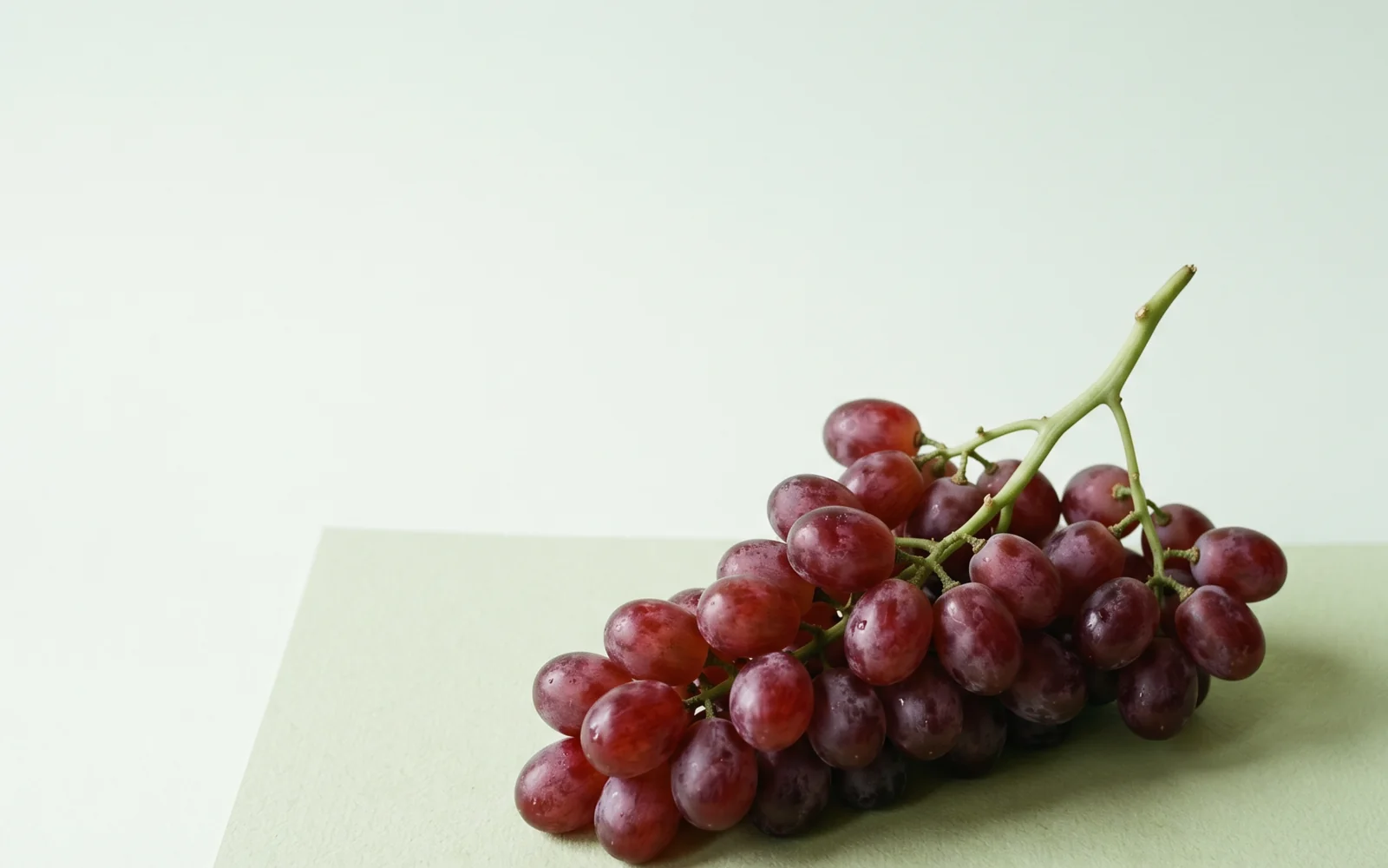 Egyptian Flame Seedless grapes for Uzbekistan — HS 080610, season май – июл