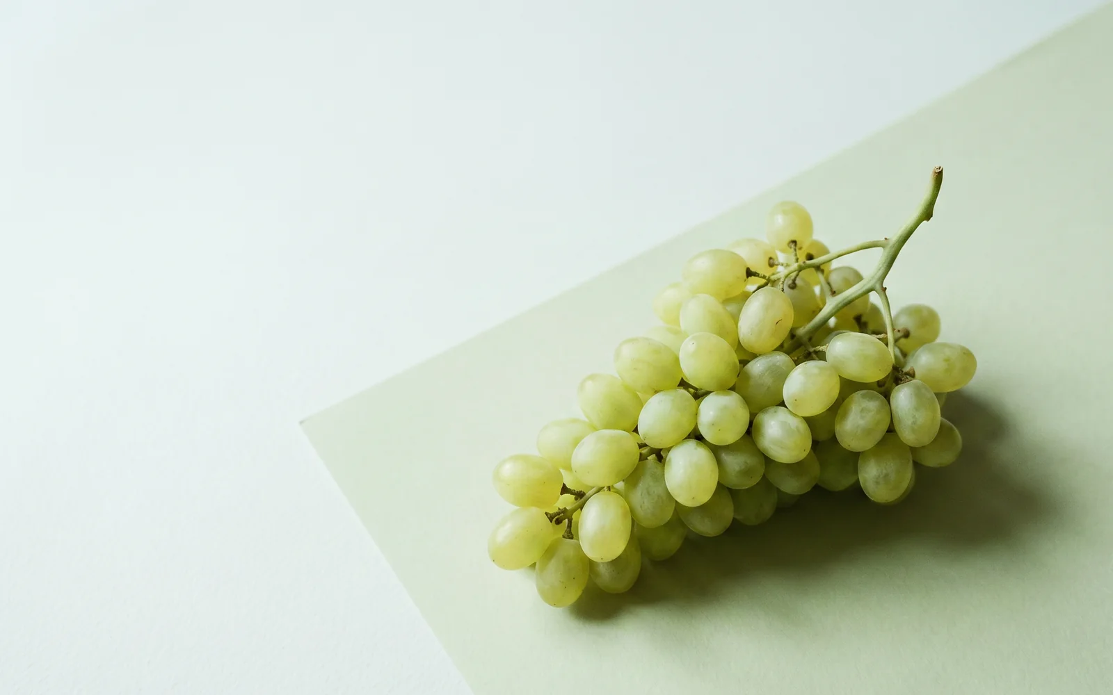 Egyptian Superior Seedless grapes for Uzbekistan — HS 080610, season may – iyl