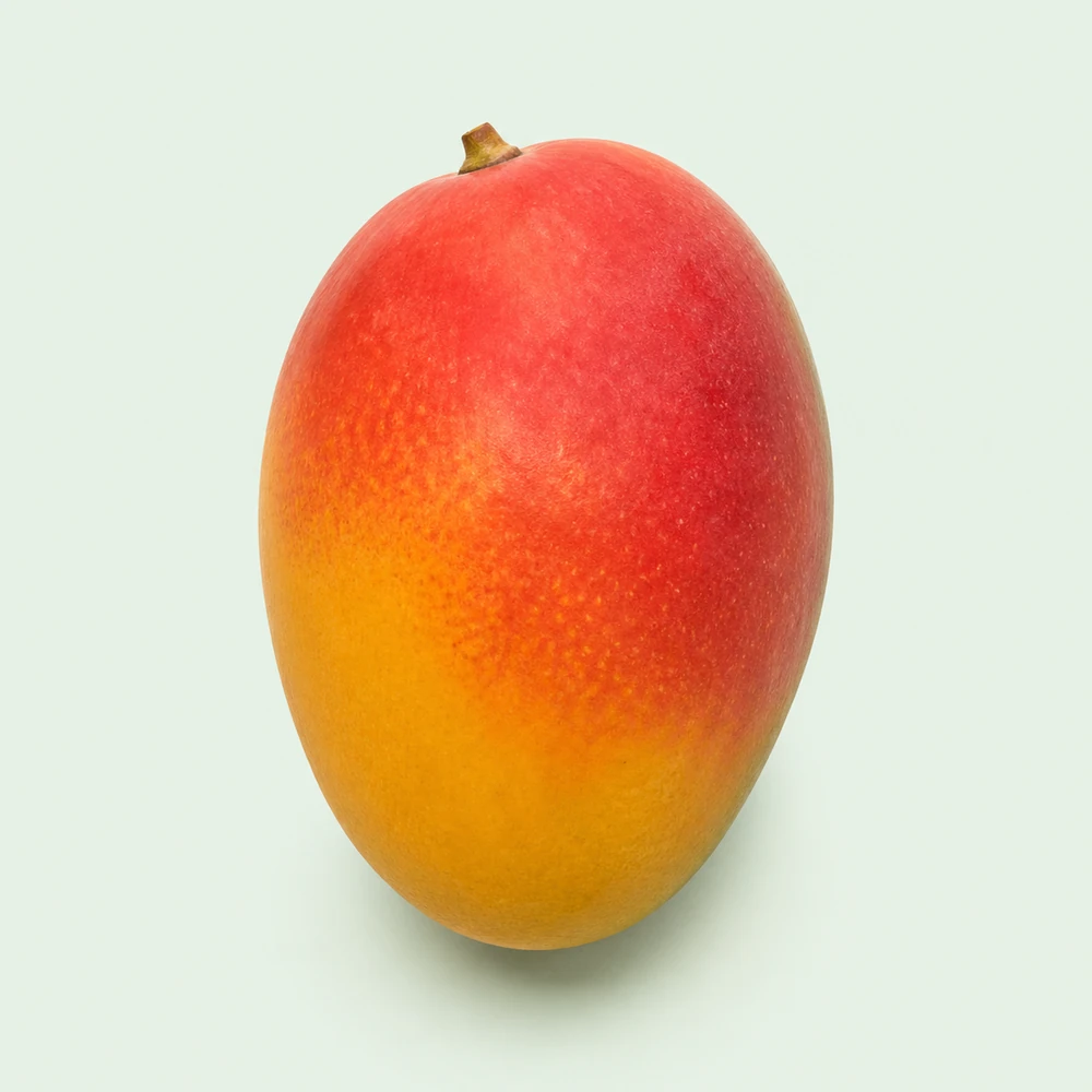 Egyptian Kent & Keitt mangoes for Uzbekistan — HS 080450