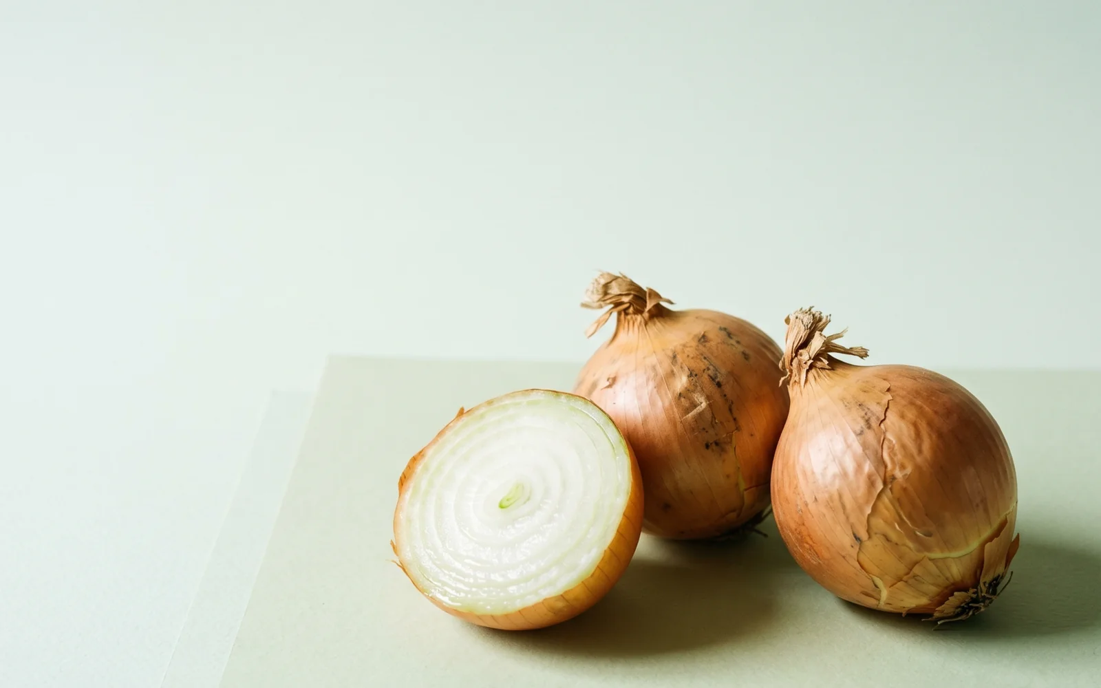 Egyptian Yellow onions for Uzbekistan — HS 070310, season Круглый год