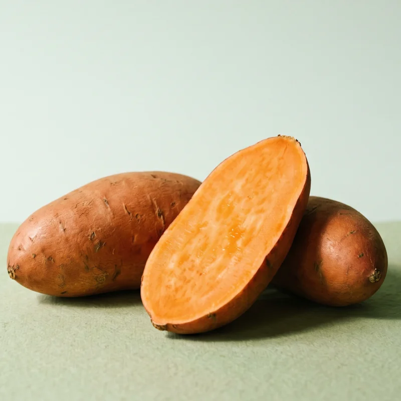 Egyptian Sweet potatoes for Uzbekistan — HS 071420
